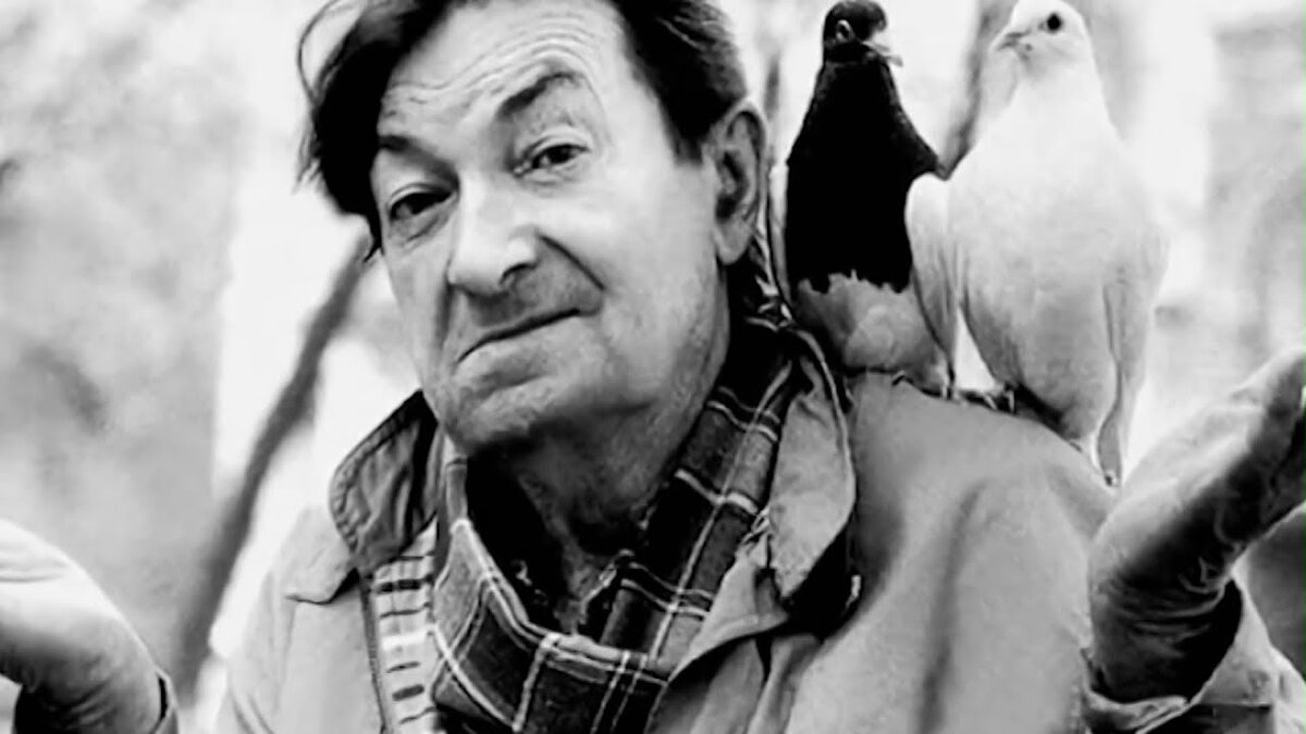 Георгий Вицин так часто кормил голубей, что соседи, завидев как голуби собираются в кучу, говорили: "О, Вицина ждут...".