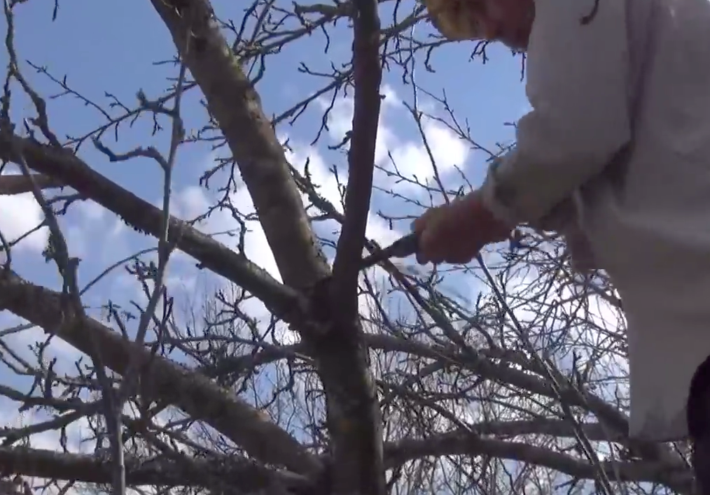 Фото из личного архива автора