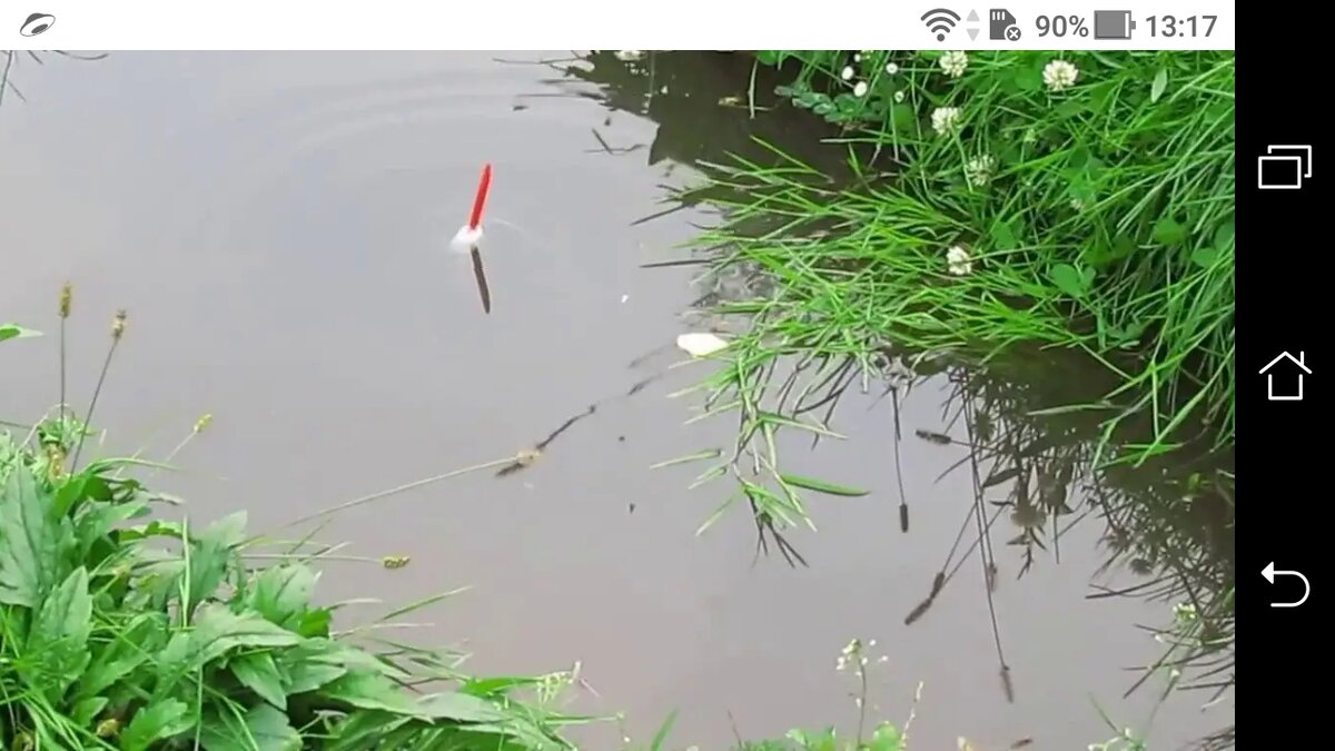 фото Как увеличить вес гусиного пера для рыбалки