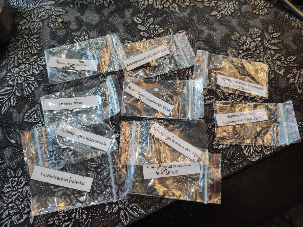 Что посажено