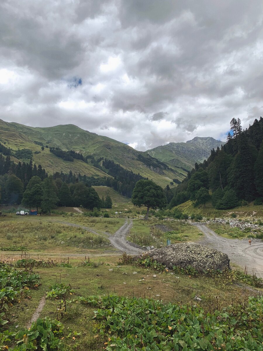 Ауадхара Абхазия Альпийские Луга