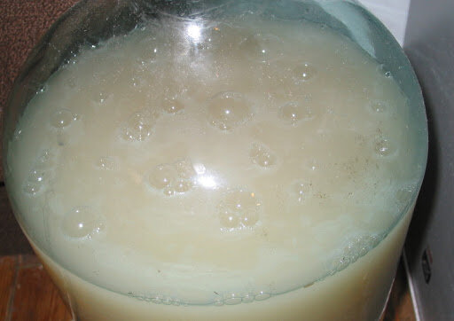 Сахарная дыня(ан нет, всё-таки брага)