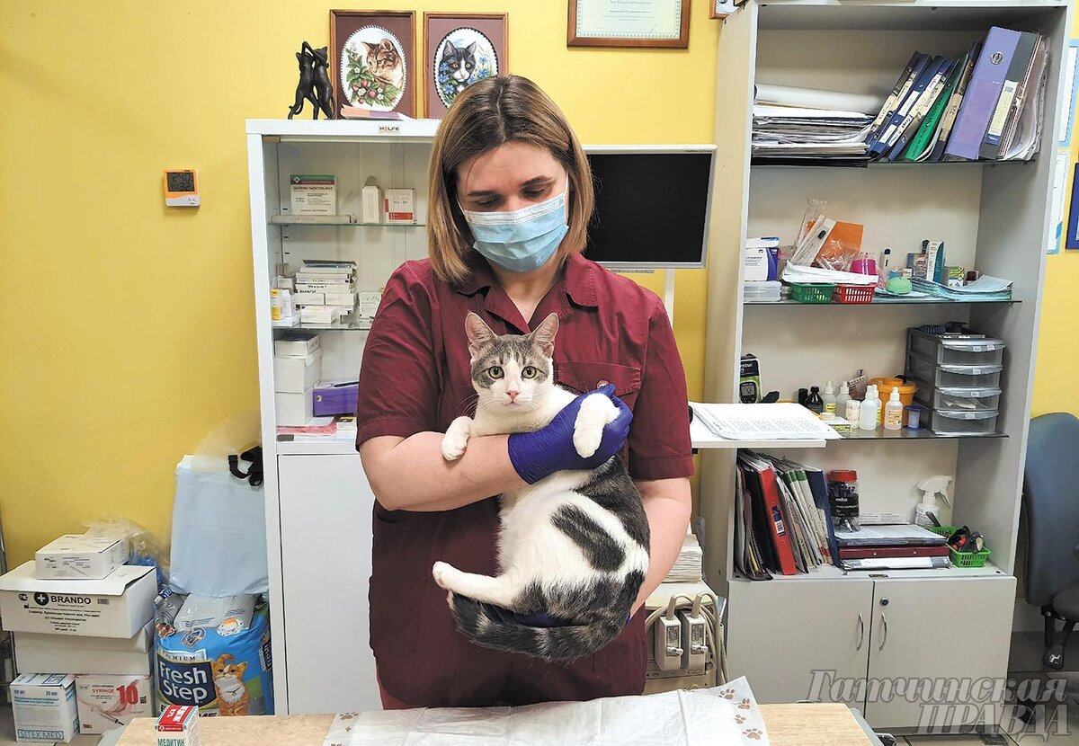 Ветеринар Мария Тукк