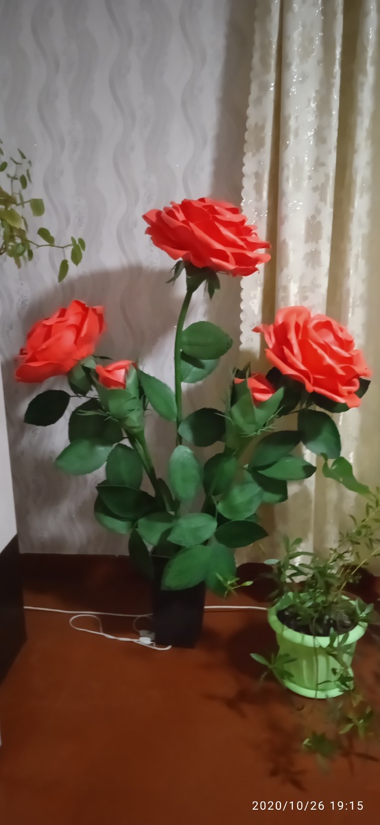 Такой стоит в зале,супруга обожает розы) 