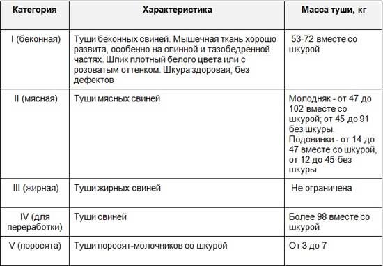 Какие части свинины самые лучшие | Знай ферму | Дзен