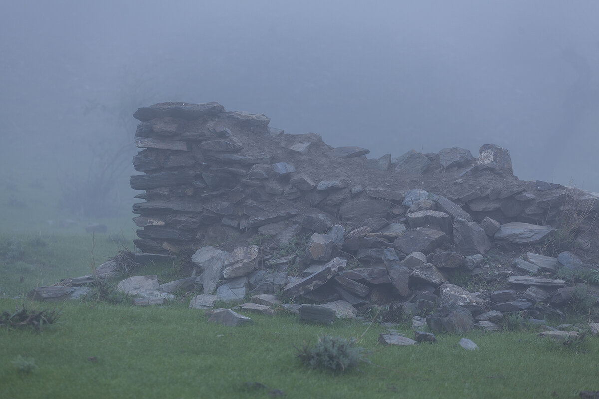 Фото © Рашид Сухов