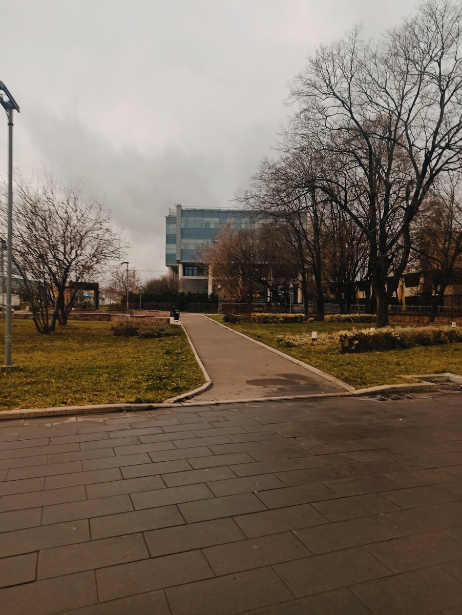 Почти Бриджет Джонс