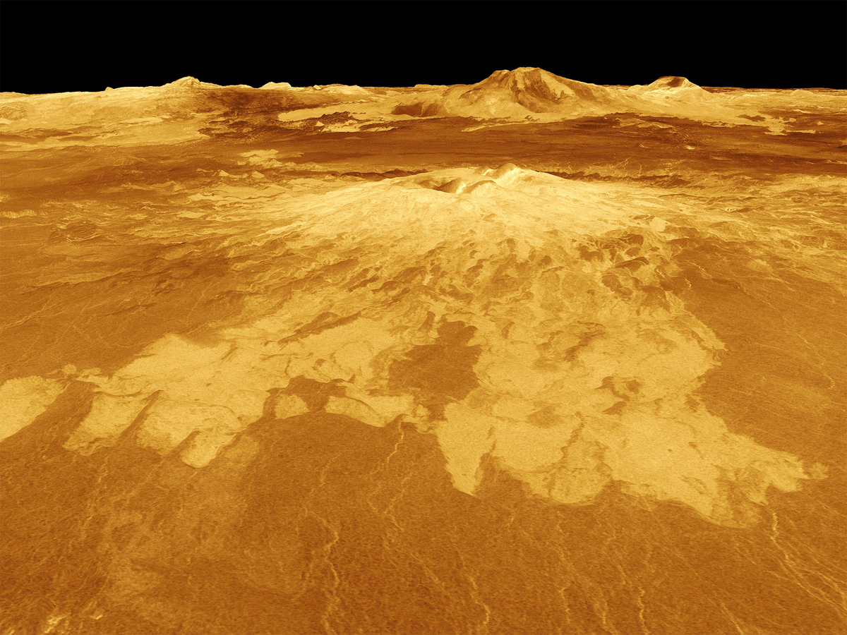 Поверхность Венеры / ©NASA 
