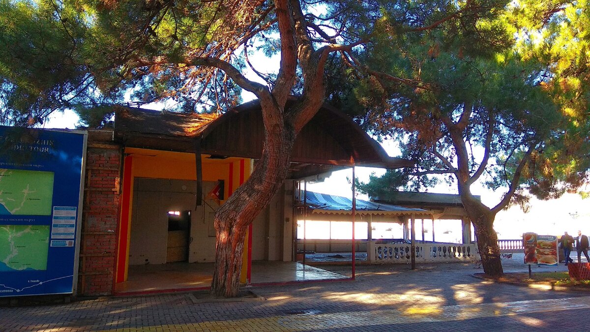 На этом месте еще месяц назад находились кафе "Мальта" и "Ветерок"