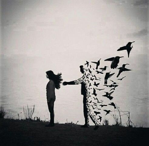 Фото из свободных источников 