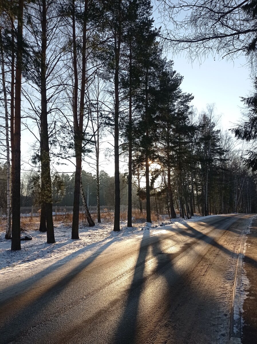 Солнечный зимний день. Железная дорога за деревьями