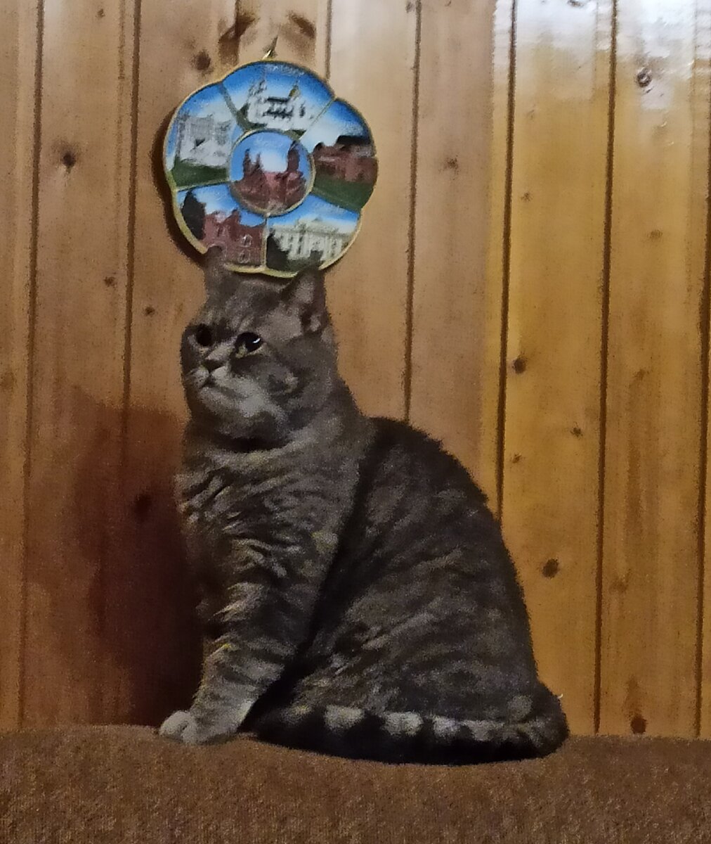 Сэмюэль в боевой стойке! Стреляют!