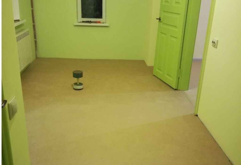 Остались плинтусы и покраска