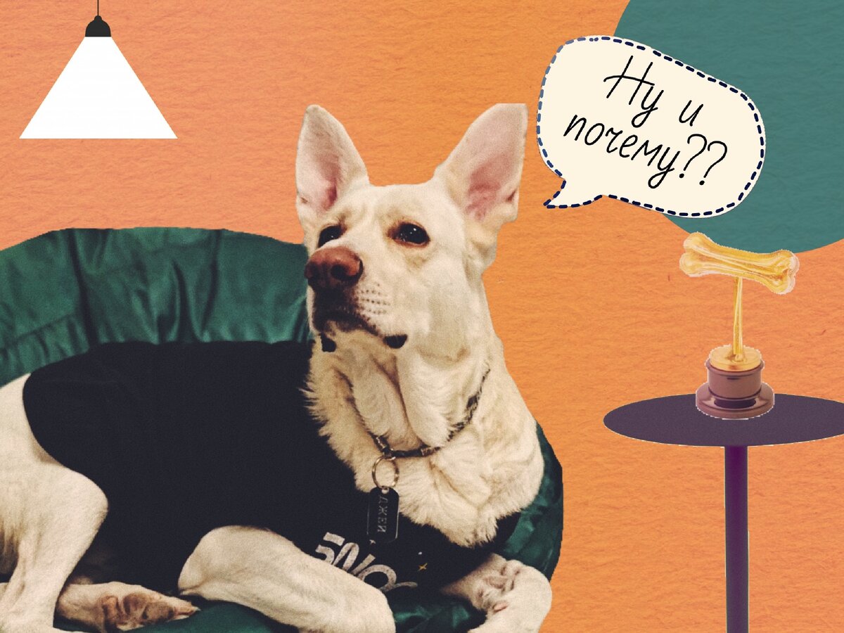 Картинки для иллюстрации взяты из сети Интернет