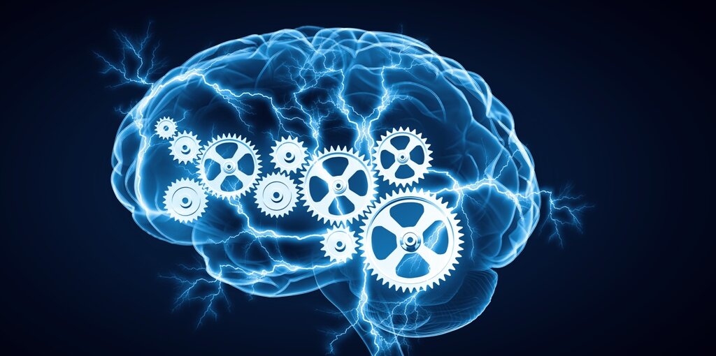 Картинка из свободного источника интернета