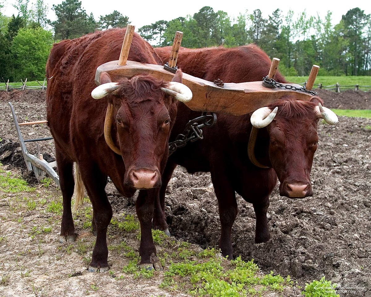 На страницах Священного Писания, книг Ветхого и Нового Завета, мы очень часто видим призыв прийти к Богу. К примеру, устами ветхозаветного пророка Исаии Господь говорит грешникам:  "...-2
