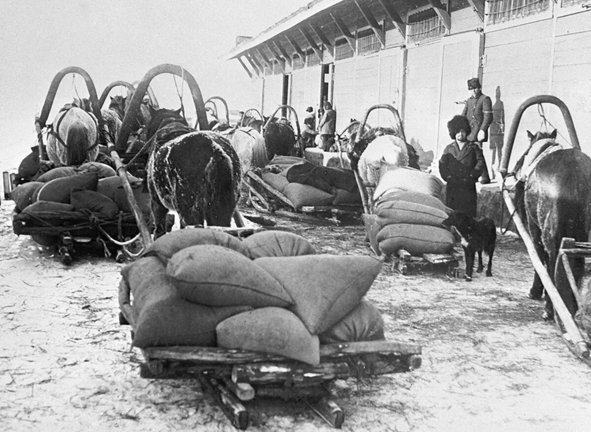 Так выглядела продразверстка в 1917 году. Фото из открытого доступа. 
