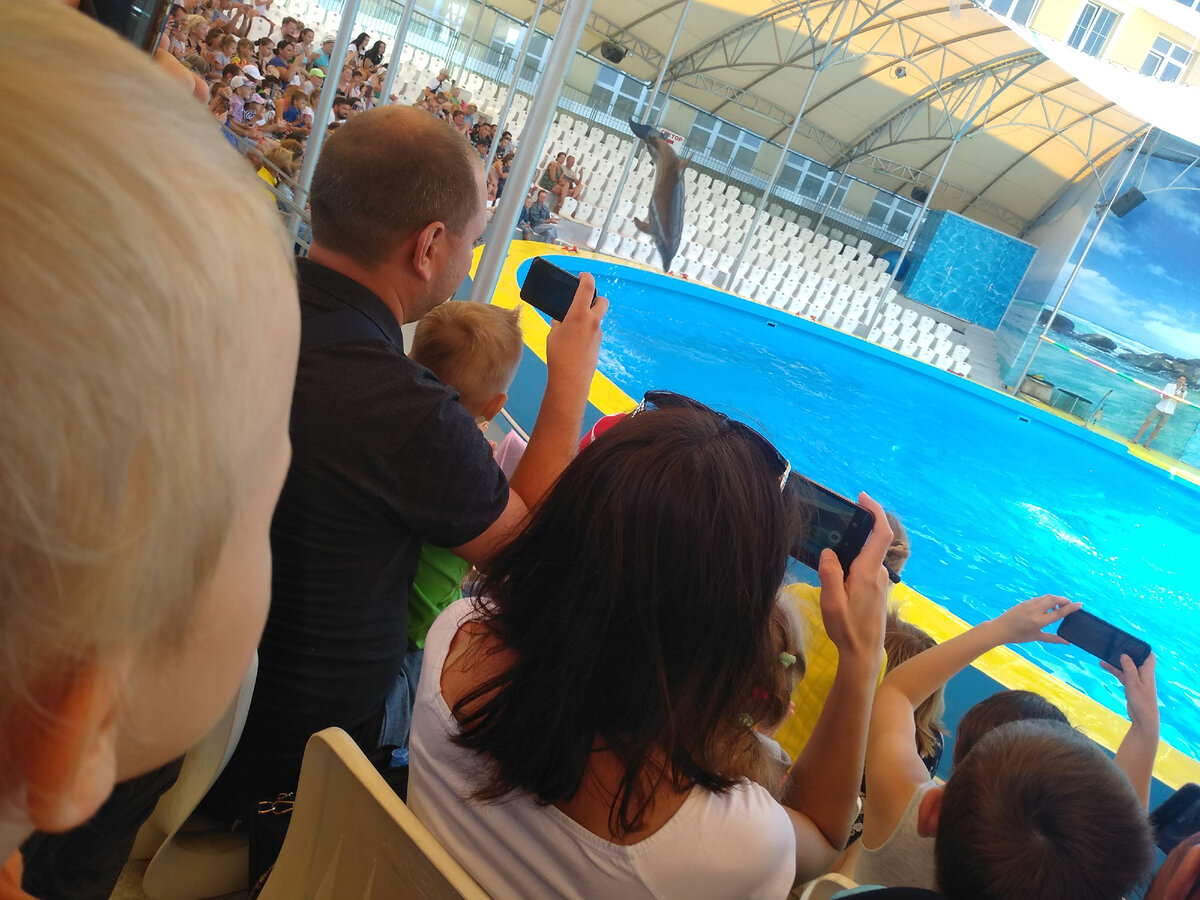 Дельфинарий Витязево