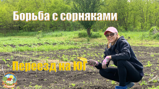 #201 Борьба с сорняками не прекращается. Жизнь огородная