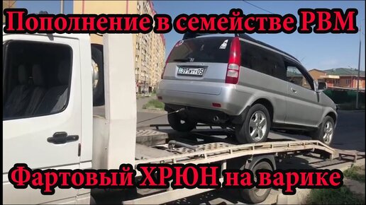 Купили Хрюна Honda HRV