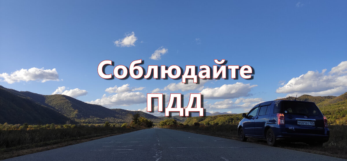 Фото автора. Крик души - соблюдайте ПДД.