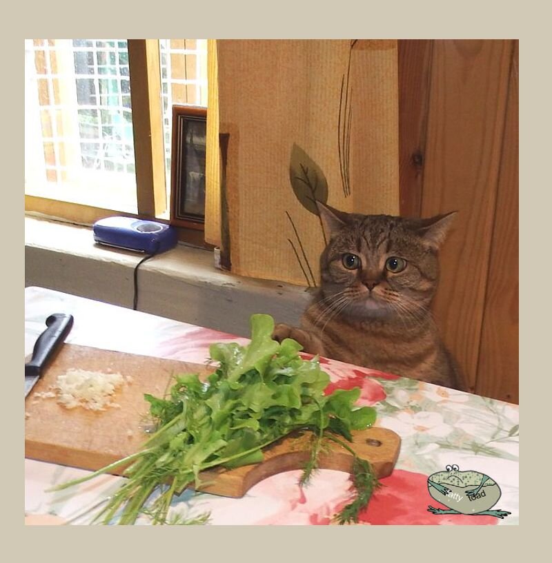 Мама, а на грядке мясо нельзя сажать?