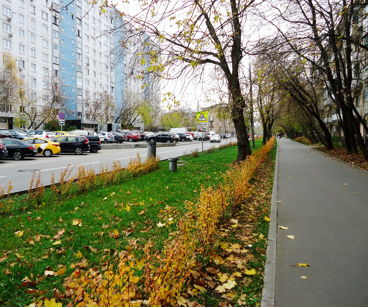 Север Столицы. Улица Академика Бочвара. 