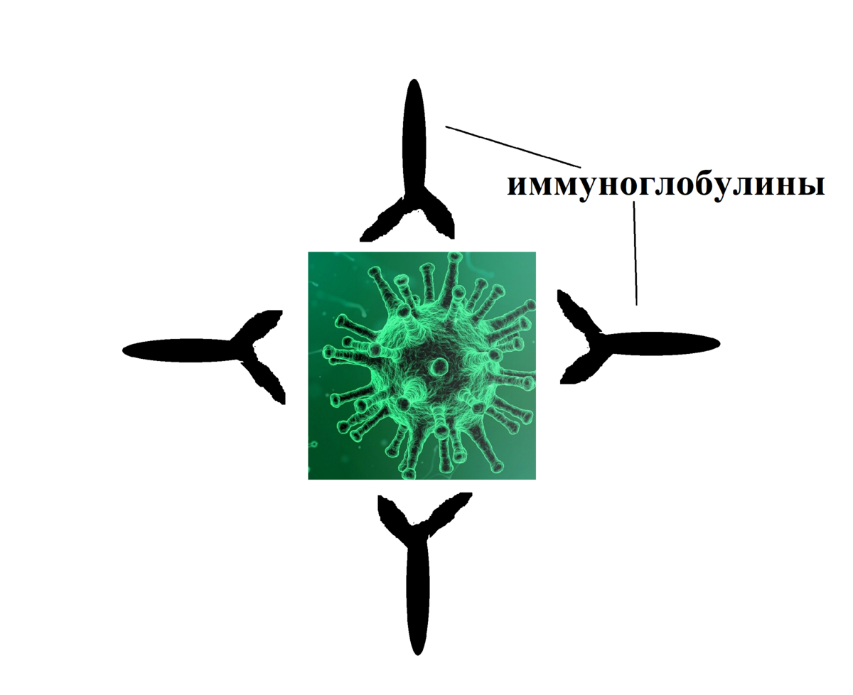 Добавьте описание