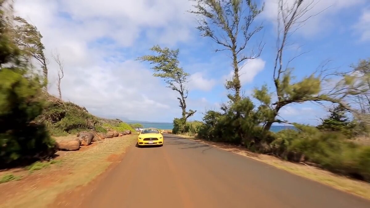 не задави птичку!!!