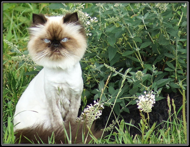 Листаем вправо 



