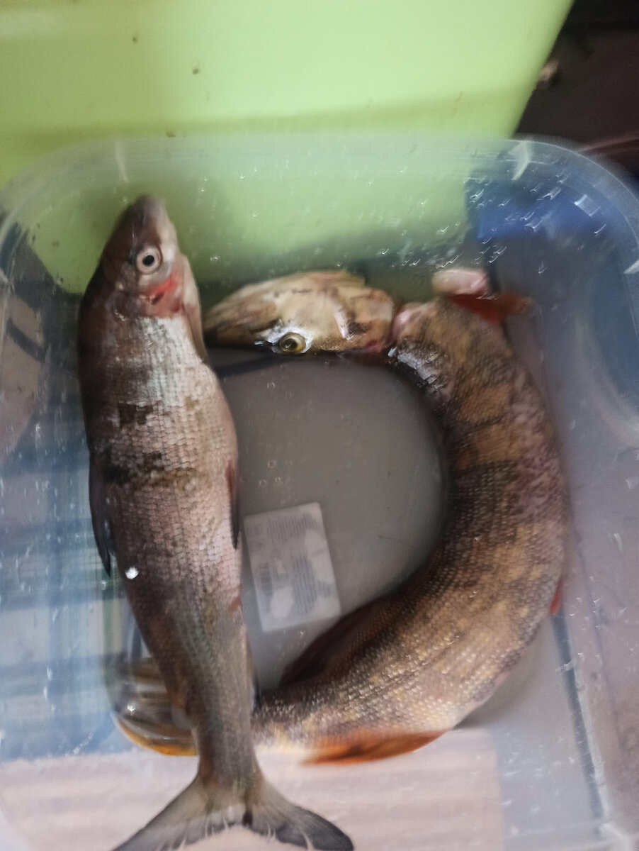 Наливаем в кастрюлю воду, ставим на плиту