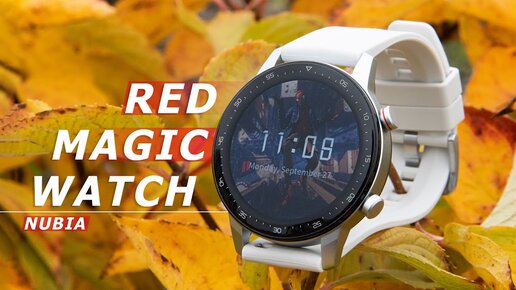 89$ ЗА ИГРОВЫЕ УМНЫЕ ЧАСЫ C GPS ?🔥 СМАРТ ЧАСЫ Nubia RedMagic Smart Watch 1,39