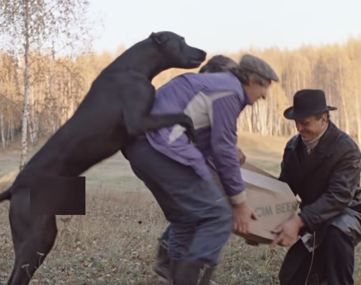 Кто мог сыграть Катю в 