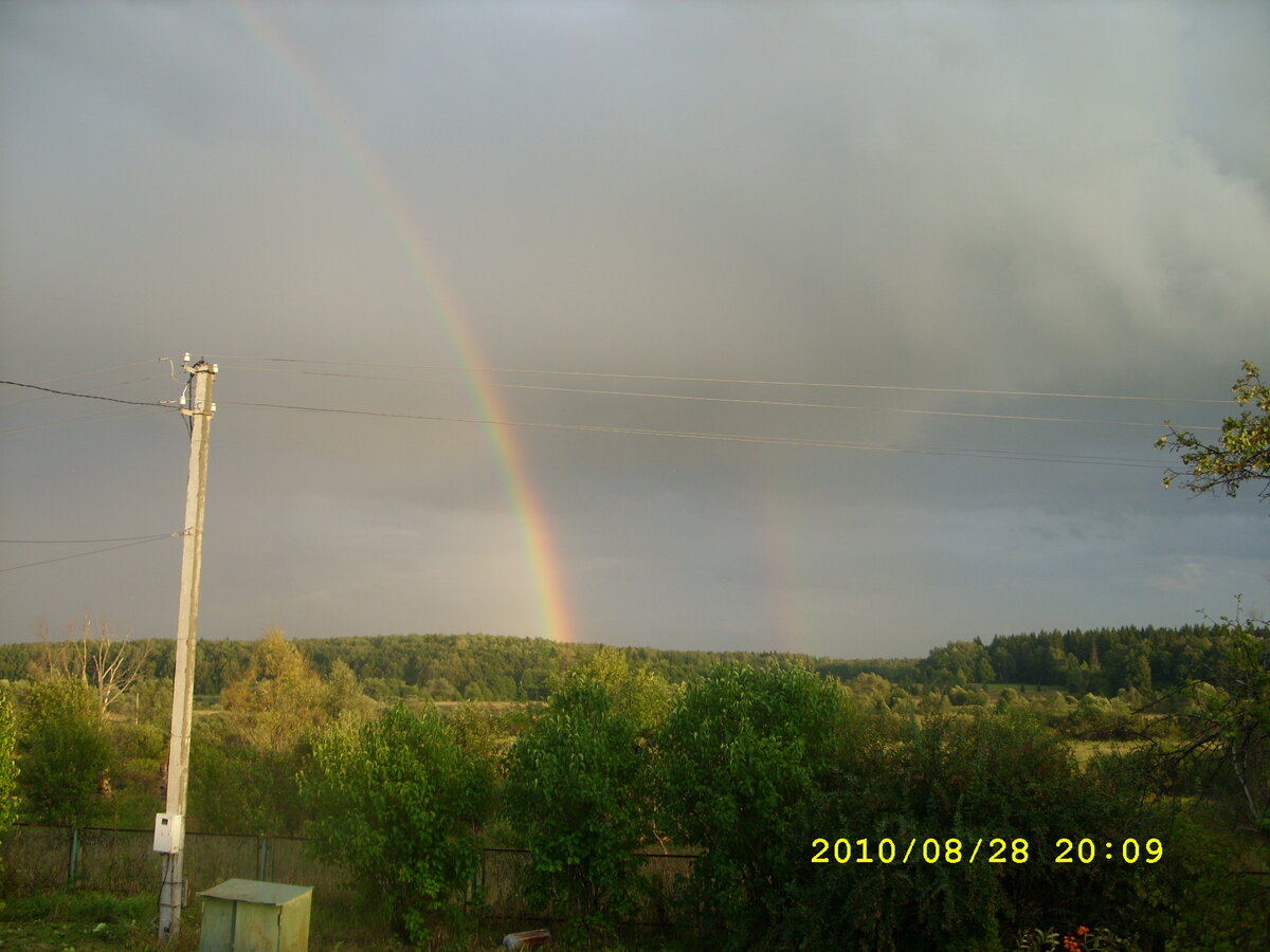 Загонит дождь по комнатам всех ловко, и спорить с ним не вздумай осмелеть!