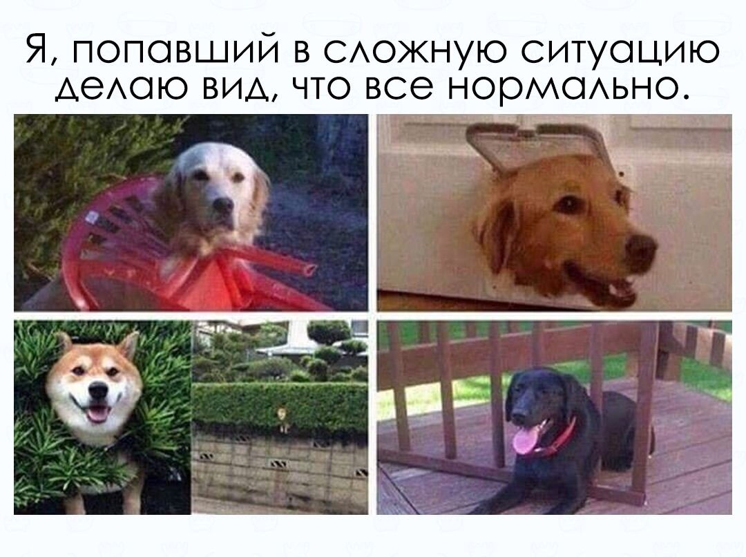 8396 просмотров