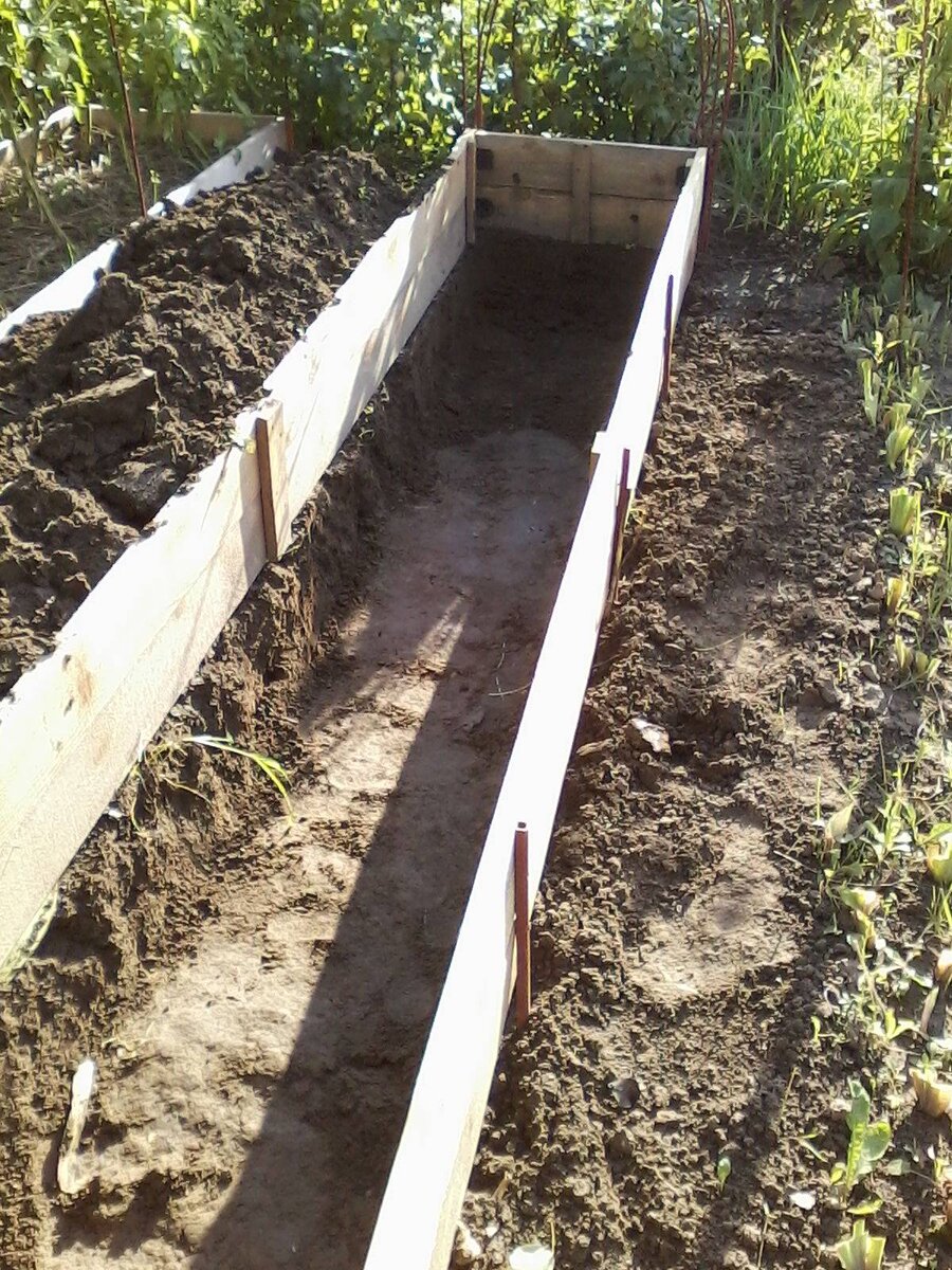 Фото с интернета 