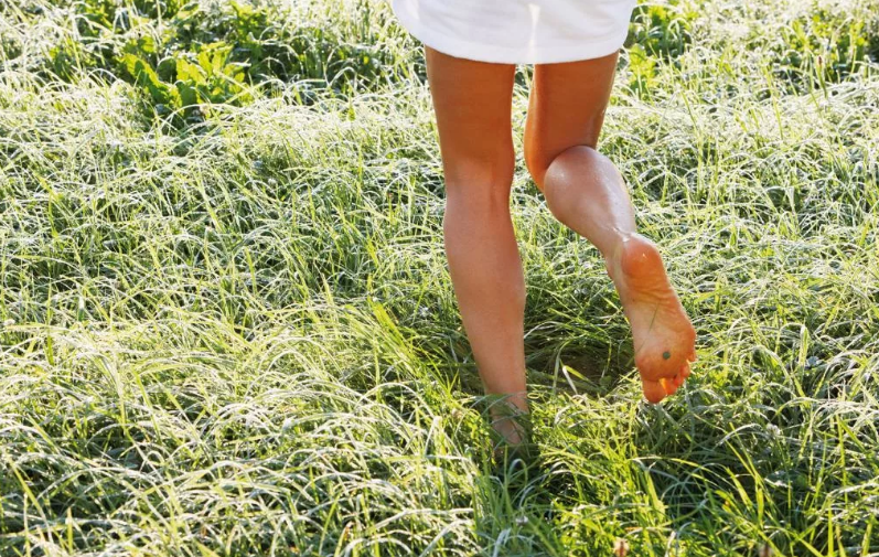 Картинка из интернета