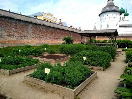 Из первых русских "аптекарских огородов" возникли ботанические сады