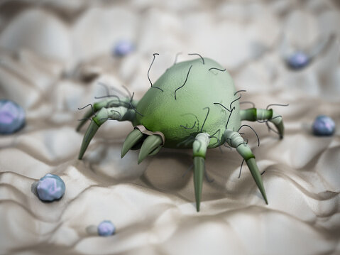 Источник фото: adventtr на Unsplash