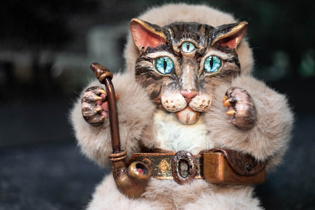 КОТЯРА — КАЗАК