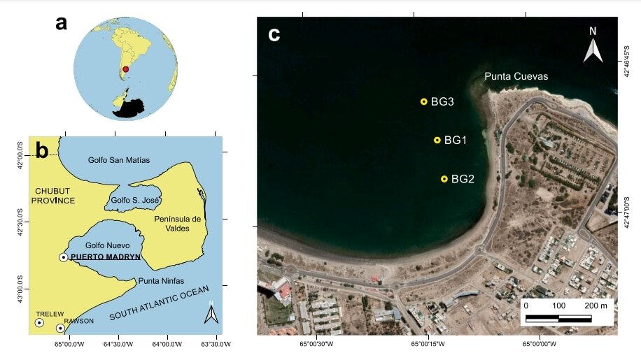    На картах показано расположения залива Гольфо-Нуэво и города Пуэрто-Мадрин. На спутниковом снимке отмечены места находок частей затонувшего судна / ©Ignacio Mundo et al.