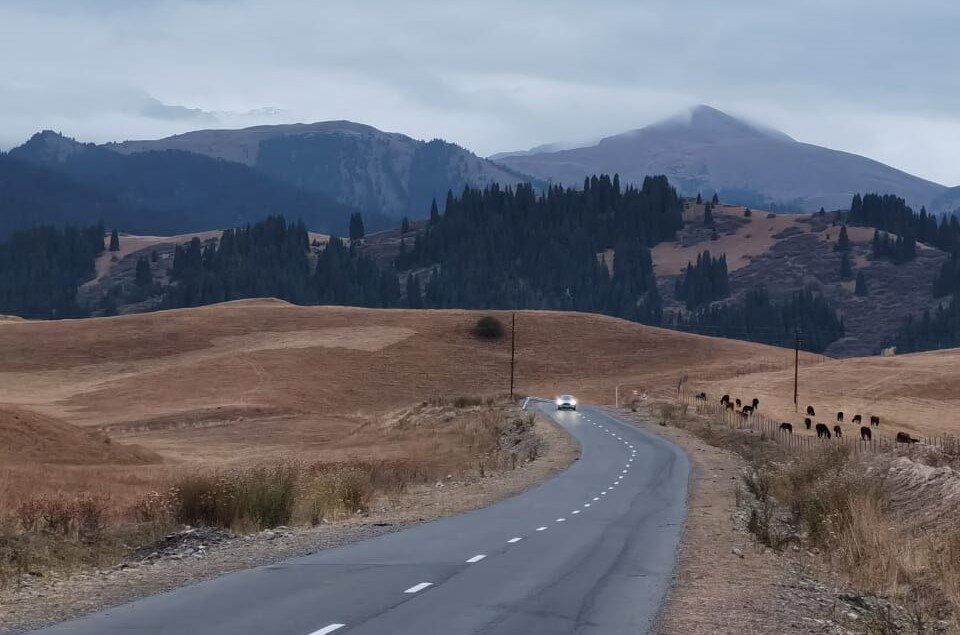 Дорога на Кольсай