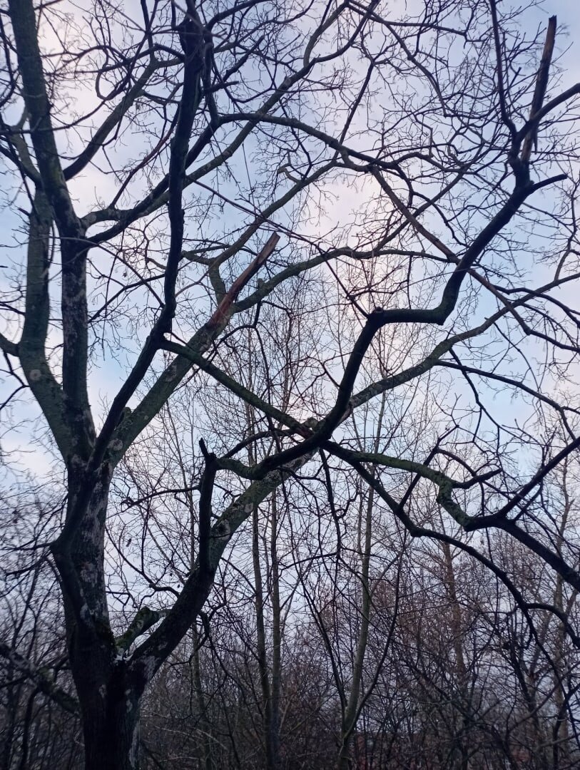 фото сила - в знаниях