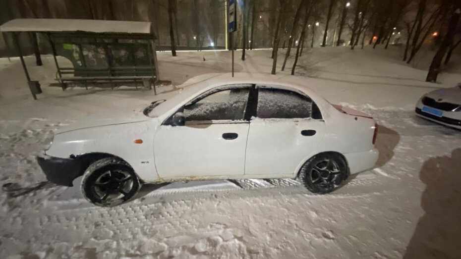    Автор фото: пресс-служба ГУ МВД по Воронежской области