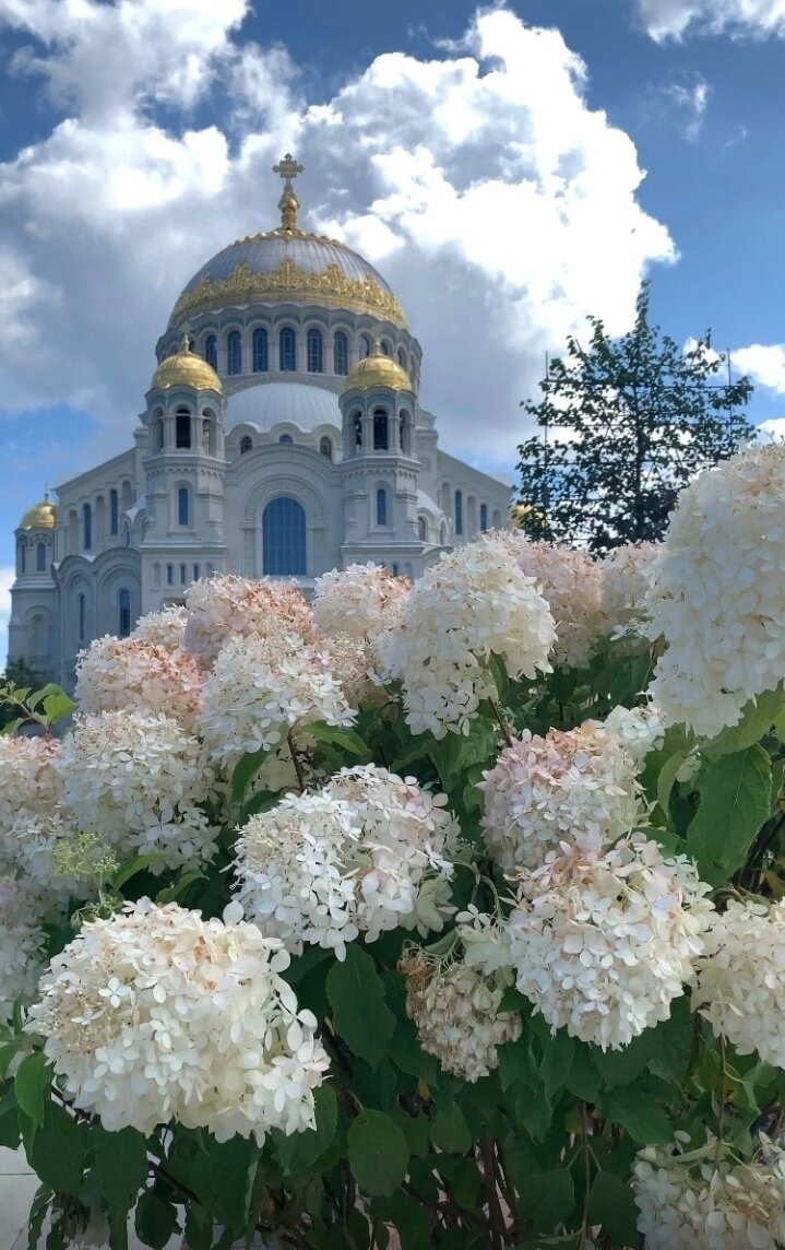  Это фото из свободных источников. 