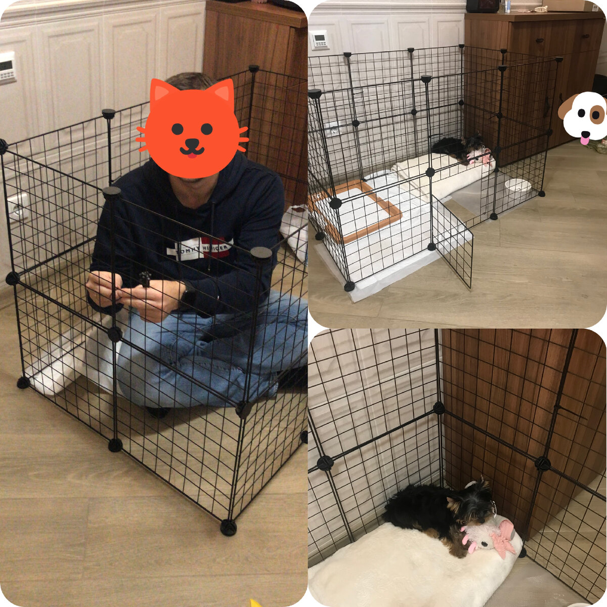 Здравствуйте дорогие читатели, я хотела бы немного рассказать, как Юми провела первую ночь дома и как мы обустроили ее жилище.
У меня есть подруга Татьяна (все мои подруги люди уважаемые, очень премудрые и просто красавицы), она человек опытный в содержании щенка и подготовленный. Татьяна одарила нас огромной клеткой и двумя лотками, дала полный инструктаж! К приезду щенка мы были полностью подготовлены: клетка, лотки, пеленки, миски, игрушки, корм, расчески, резиночки. У нас было все, кроме лежанки, она не успела до нас доехать. Первую ночь Юми, как царица,  спала на белом пледе. 
Я начиталась кучу отзывов, статей и тд., что первая ночь щенка дома это кромешный ужас! Все писали, что щенок будет выть, скулить, бегать, лезть на постель! И я готовилась к худшему! Клетку мы поставили в прихожей, ночью она  не могла нас видеть. В клетке были 2 лотка, лежанка, игрушки, водичка. 
И вот настало время Х. Мы положили Юми в клетку, закрыли дверцу, выключили свет и ушли спать. Всю ночь Юми тихо спала, проснулась вместе с нами и счастливо виляла хвостиком. Она прекрасно чувствовала себя в клетке. Это была ее территория, достаточно большого размера, она чувствовала себя там защищенной. 
Когда мы были дома, то дверца клетки была всегда открыта. Юми свободно ходила по всей квартире, а когда уставала, уходила спать на своё место. Когда мы уходили, Юми была в клетке. С первого дня она совершенно спокойно оставалась дома! Сначала мы оставляли ее на 2 часа, потом постепенно время разлуки стали увеличивать. 
Юми была королевой «Клеточного государства» приблизительно 2 месяца, потом она стала императрицей квартиры. 
Возможно, нам повезло с щенком и заводчица хорошо о ней заботилась. Я знаю точно, какой бы милый щенок не был - это собака и ей нужны граница дозволенного, но это будет уже другая история…
