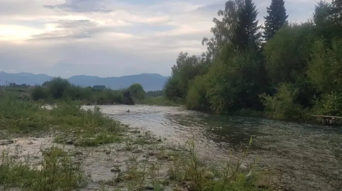 Фото: t.me/sledcom04/1764