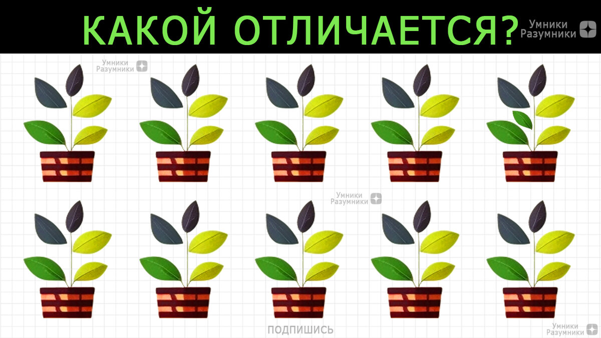 Найди одно отличие