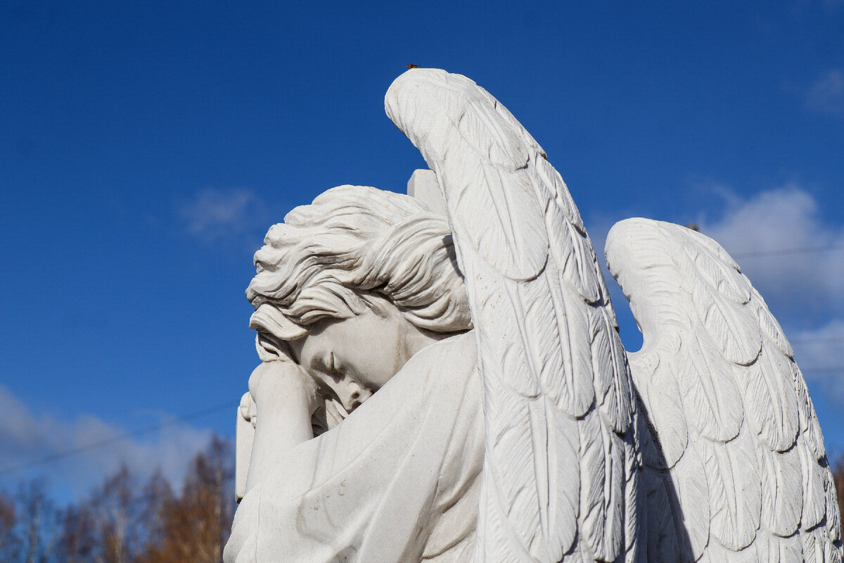 ФОТО: ELENA MAYOROVA/GLOBALLOOKPRESS 