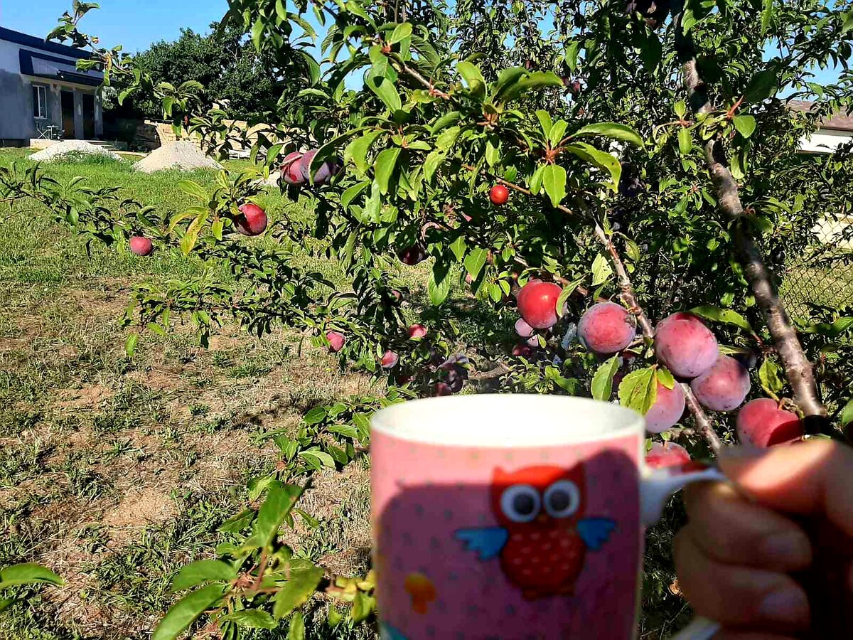 Утренний обход территории😉!